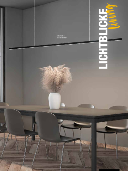 Lichtblicke bei Elektro-Müller GmbH & Co. KG in Erbach