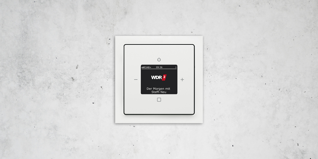 Busch-Radio DAB+ bei Elektro-Müller GmbH & Co. KG in Erbach